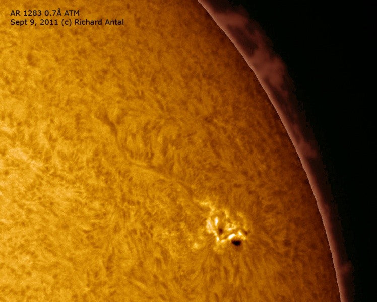 Daystar COMBO QUARK PROMINENCE Filter