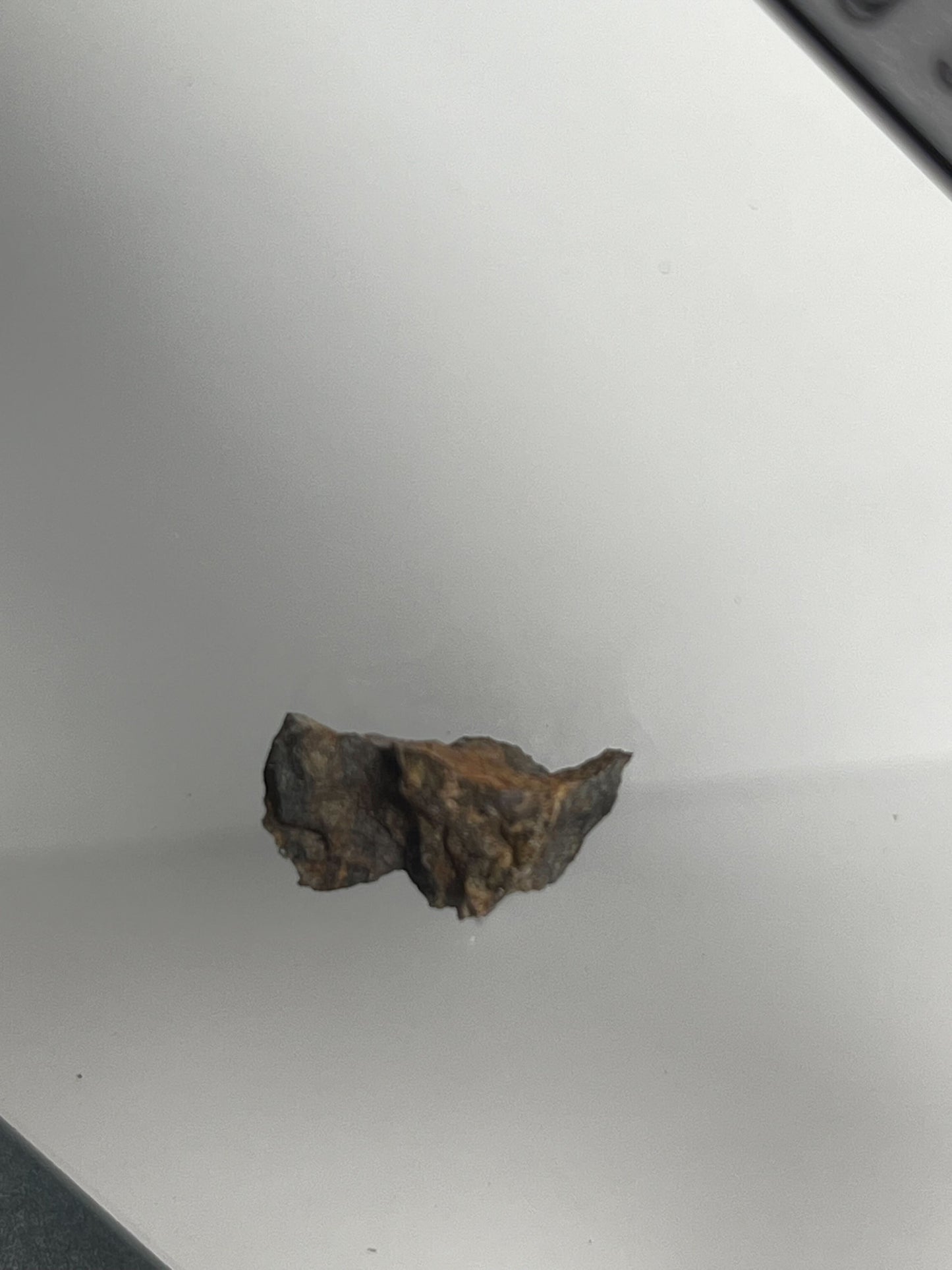 Certified TAZIZILET Specimen Meteorite Slice 0.8g - Recovered 2006, Niger - RARE