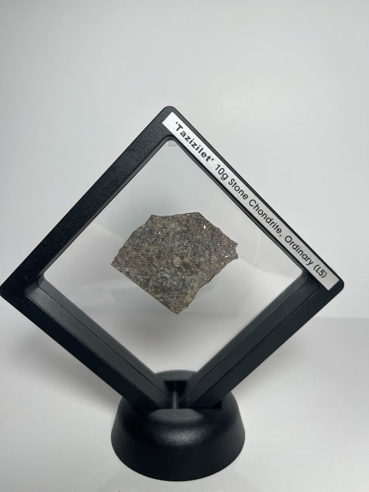 Certified TAZIZILET Specimen Meteorite Slice 10.0g - Recovered 2006, Niger - RARE