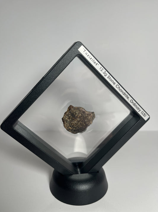Certified TAZIZILET Specimen Meteorite Slice 12.3g - Recovered 2006, Niger - RARE