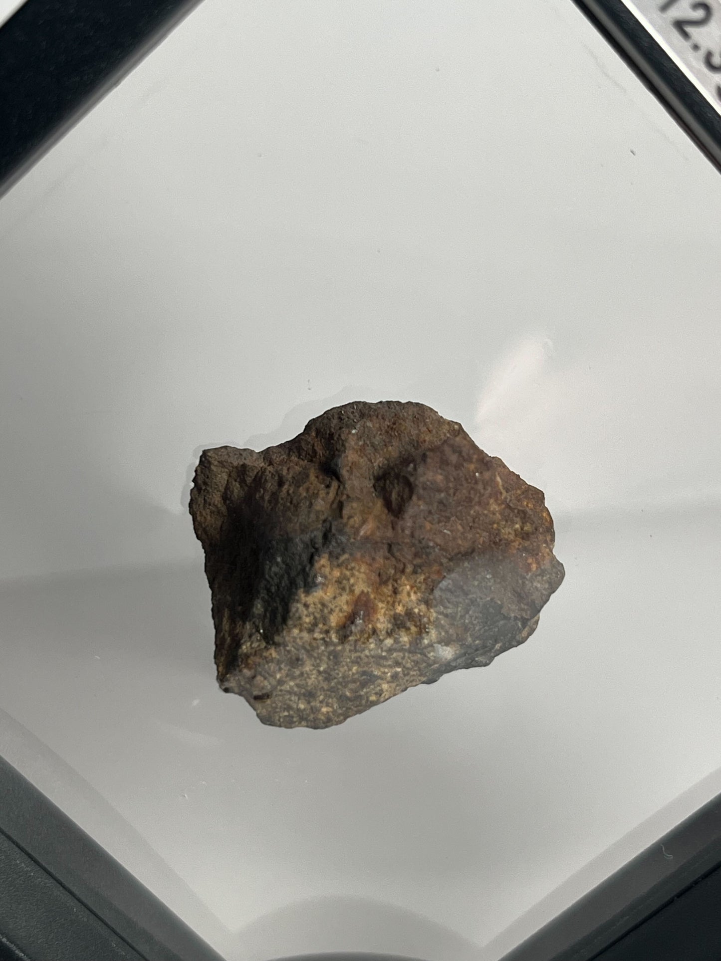 Certified TAZIZILET Specimen Meteorite Slice 12.3g - Recovered 2006, Niger - RARE