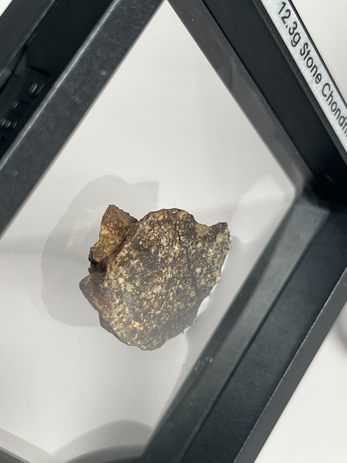 Certified TAZIZILET Specimen Meteorite Slice 12.3g - Recovered 2006, Niger - RARE