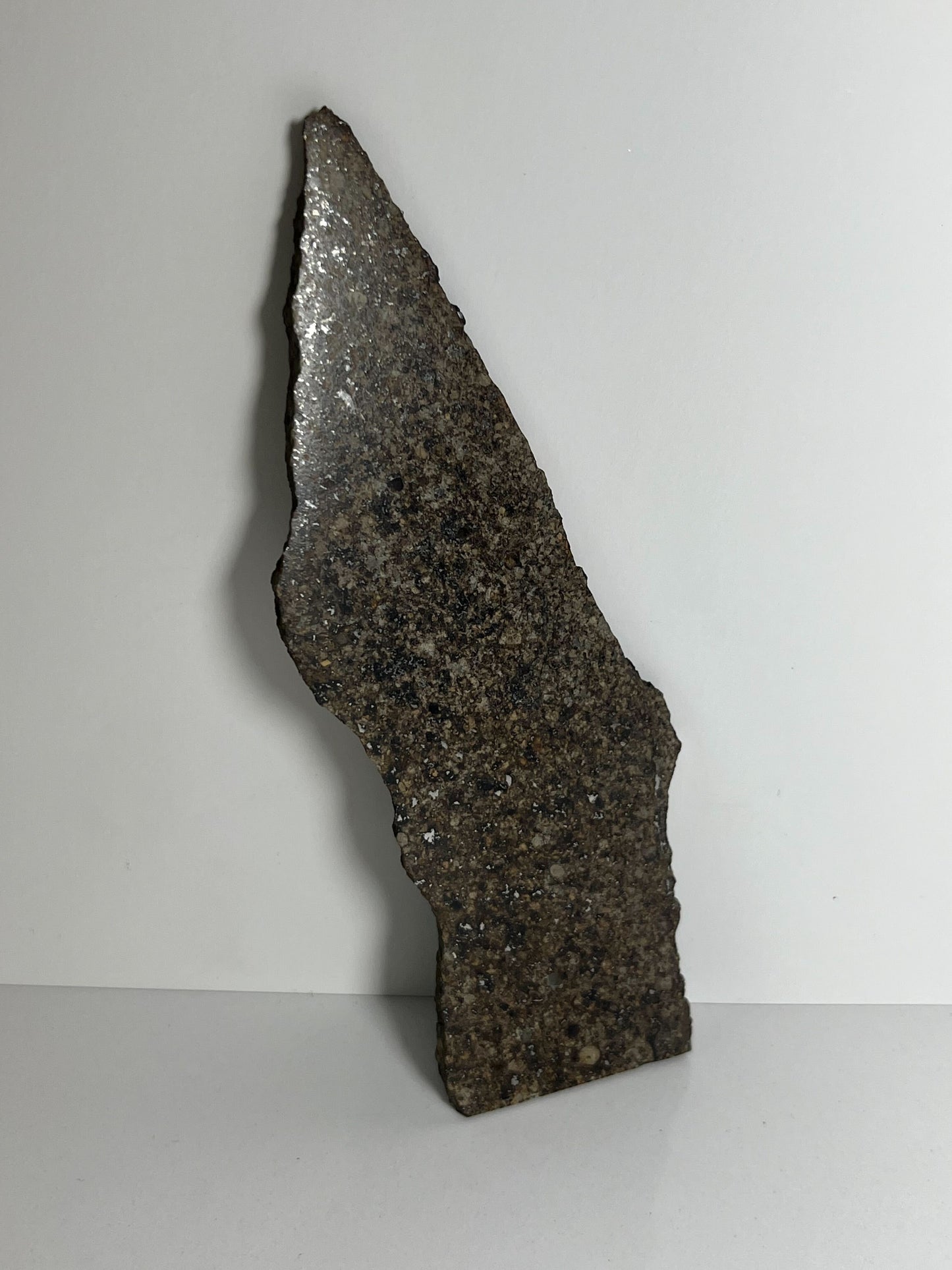 Certified TAZIZILET Specimen Meteorite Slice 34.8g - Recovered 2006, Niger - RARE