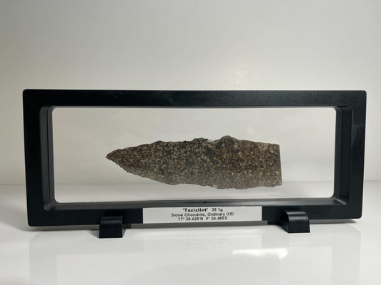 Certified TAZIZILET Specimen Meteorite Slice 39.1g - Recovered 2006, Niger - RARE