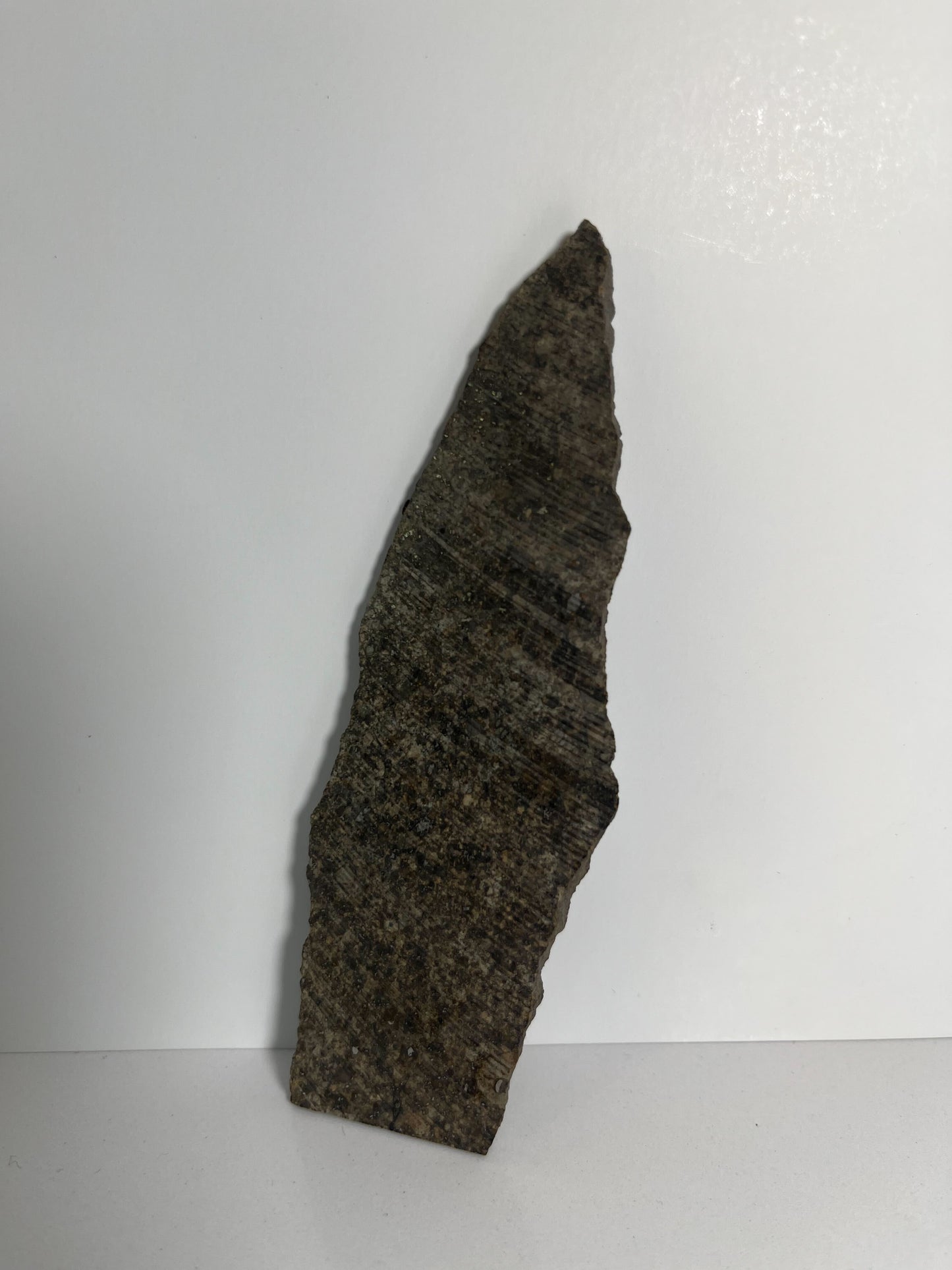 Certified TAZIZILET Specimen Meteorite Slice 47.3g - Recovered 2006, Niger - RARE