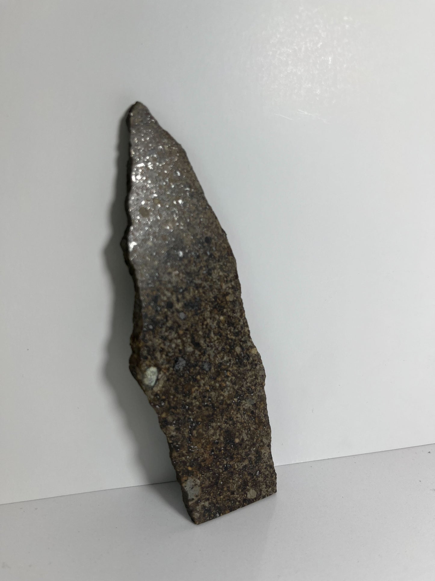 Certified TAZIZILET Specimen Meteorite Slice 47.3g - Recovered 2006, Niger - RARE