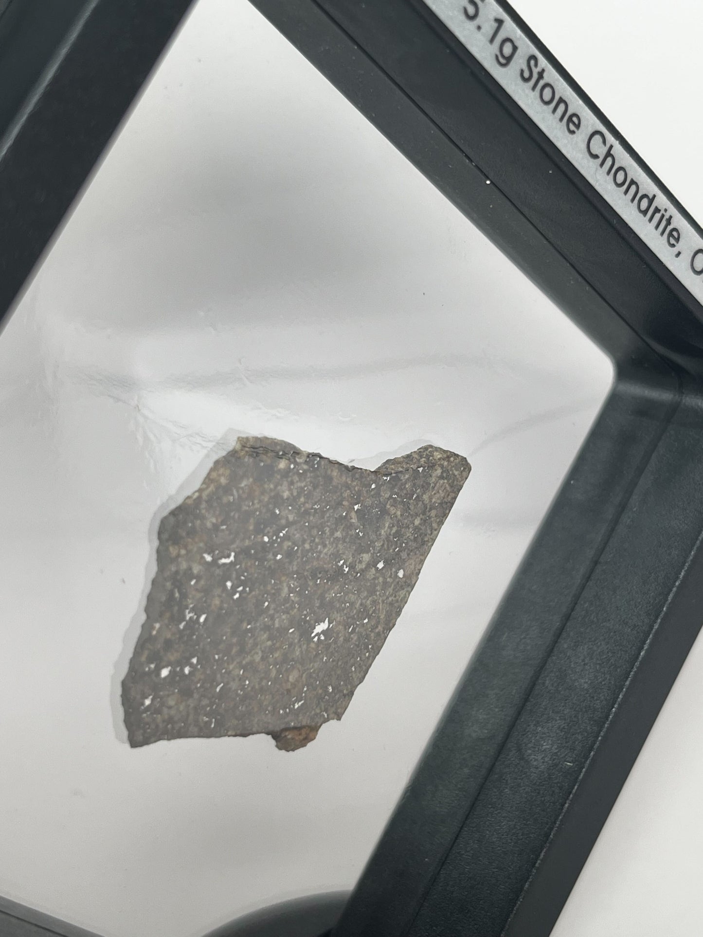 Certified TAZIZILET Specimen Meteorite Slice 5.1g - Recovered 2006, Niger - RARE