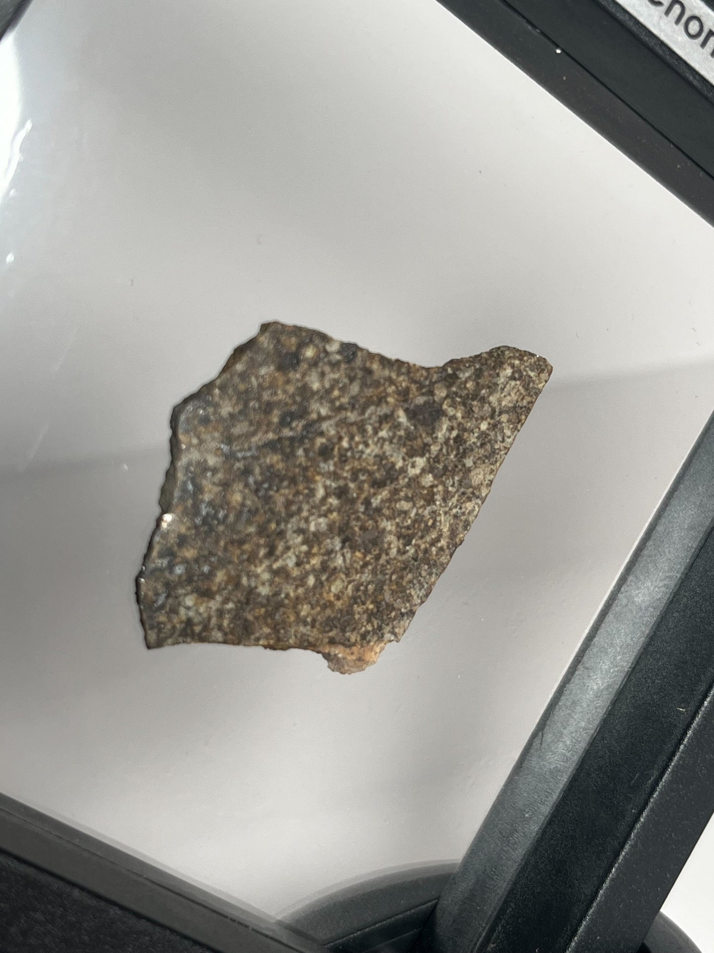 Certified TAZIZILET Specimen Meteorite Slice 5.1g - Recovered 2006, Niger - RARE