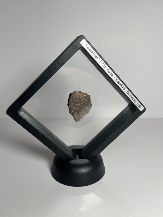 Certified TAZIZILET Specimen Meteorite Slice 5.9g - Recovered 2006, Niger - RARE