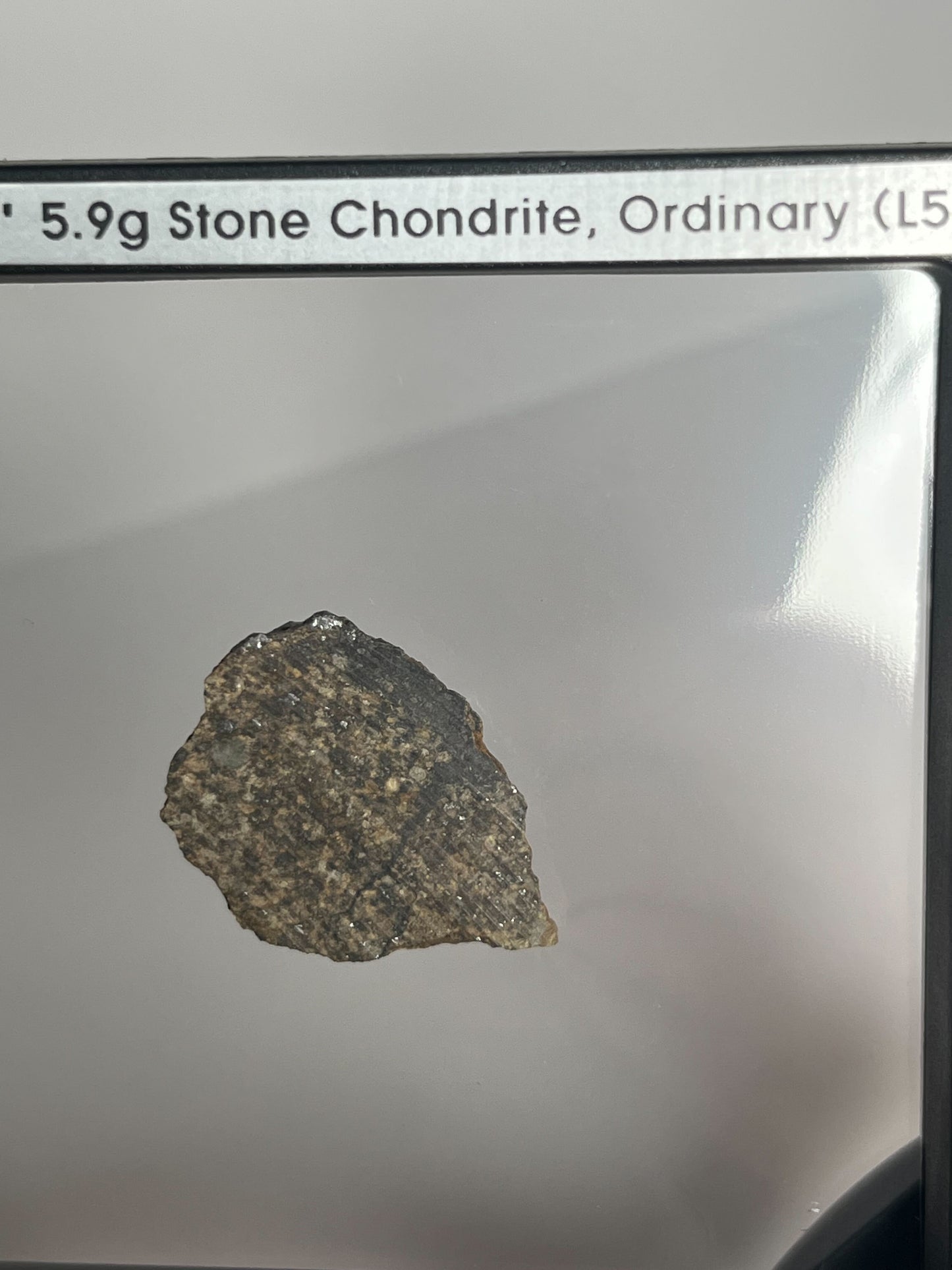 Certified TAZIZILET Specimen Meteorite Slice 5.9g - Recovered 2006, Niger - RARE