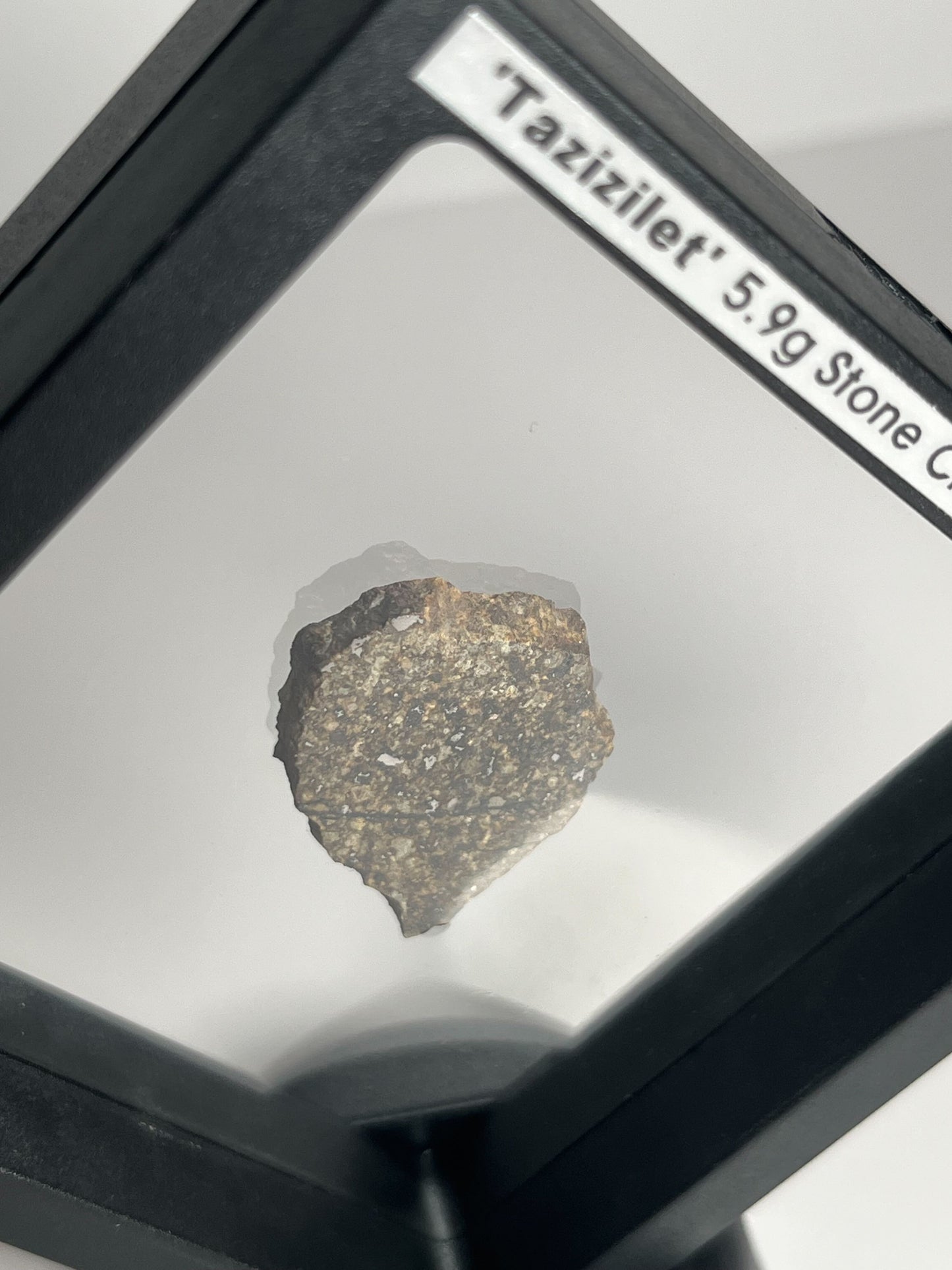 Certified TAZIZILET Specimen Meteorite Slice 5.9g - Recovered 2006, Niger - RARE