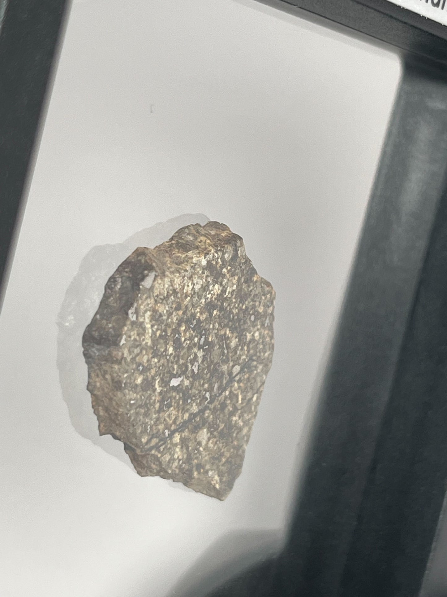Certified TAZIZILET Specimen Meteorite Slice 5.9g - Recovered 2006, Niger - RARE