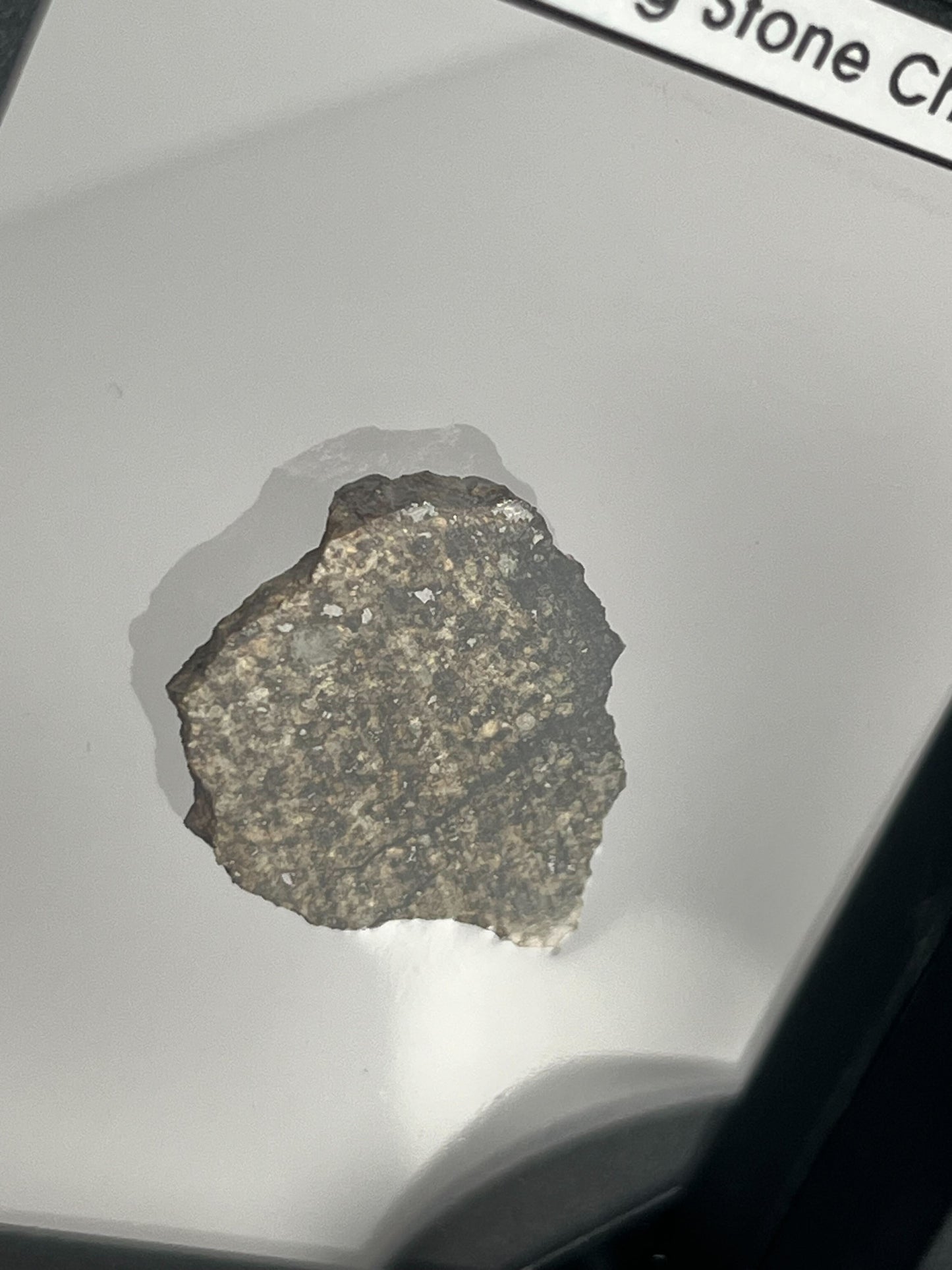Certified TAZIZILET Specimen Meteorite Slice 5.9g - Recovered 2006, Niger - RARE