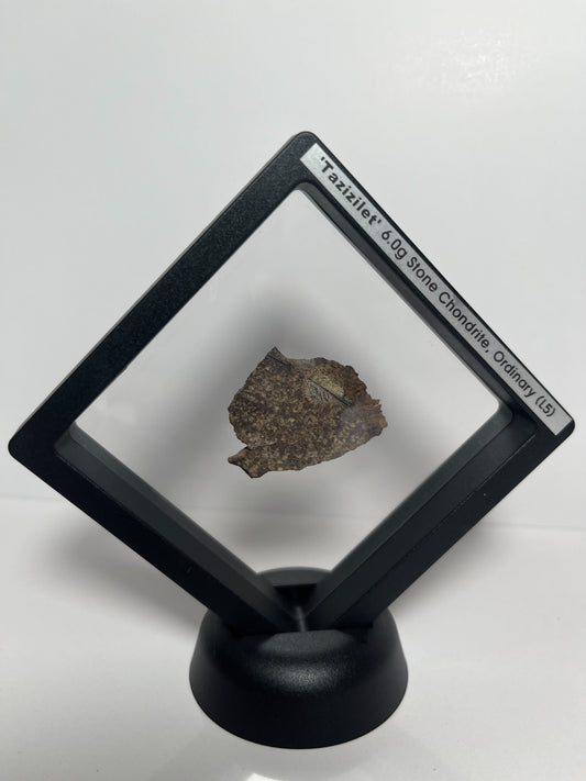 Certified TAZIZILET Specimen Meteorite Slice 6.0g - Recovered 2006, Niger - RARE