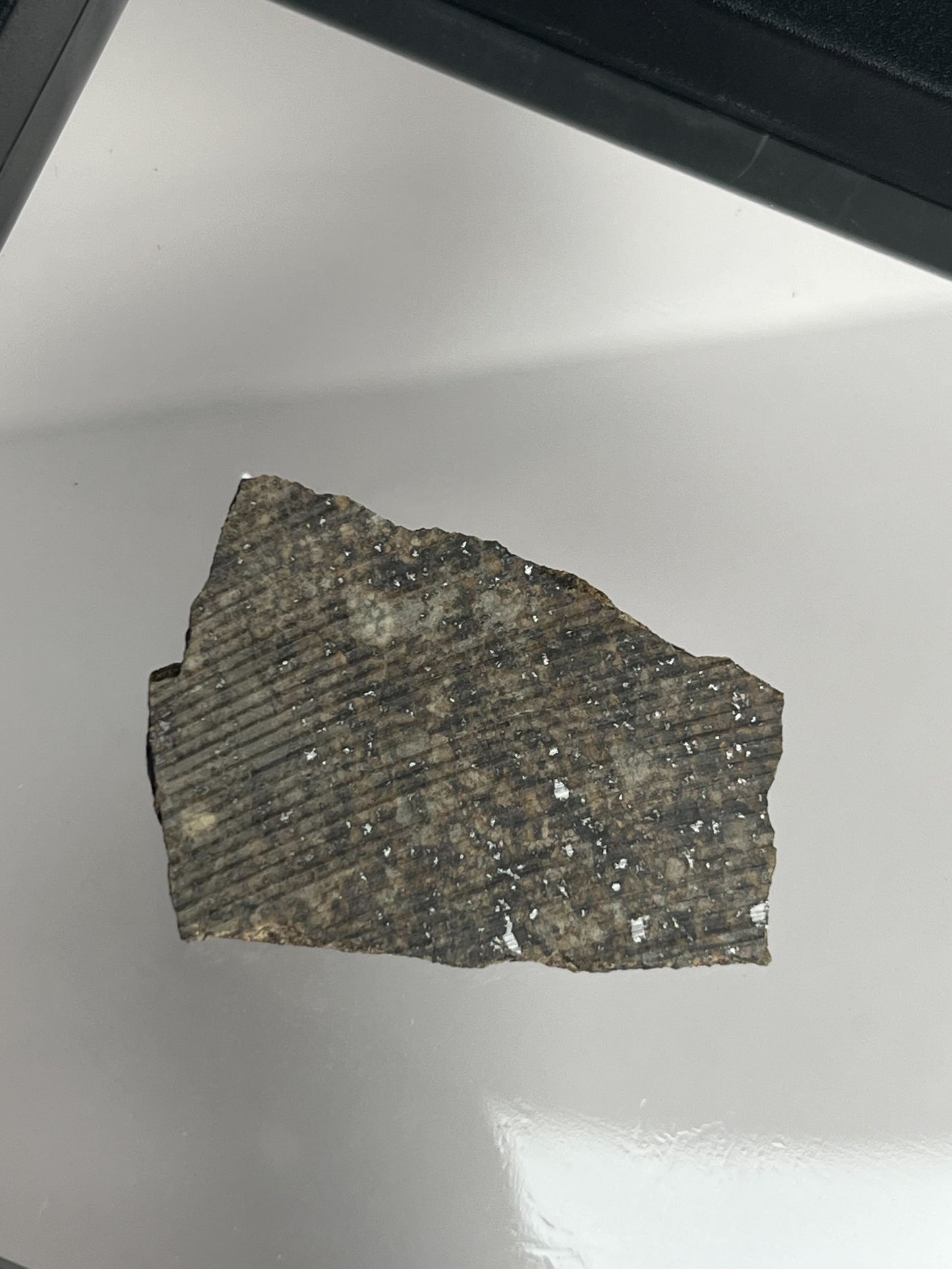 Certified TAZIZILET Specimen Meteorite Slice 6.3g - Recovered 2006, Niger - RARE