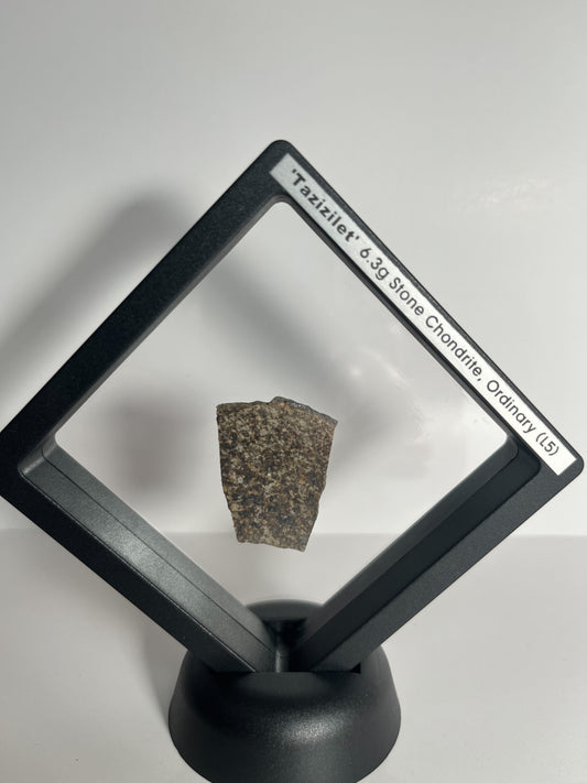 Certified TAZIZILET Specimen Meteorite Slice 6.3g - Recovered 2006, Niger - RARE