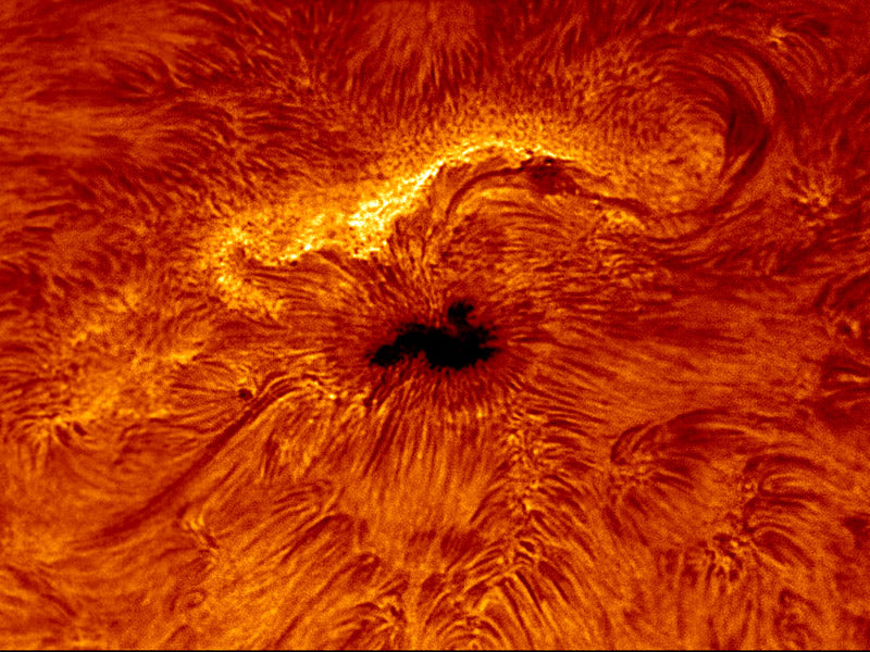 Daystar QUARK CHROMOSPHERE Filter