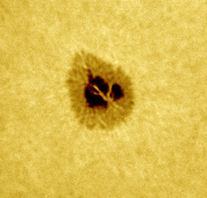 Quantum Sodium D 0.4Å PE