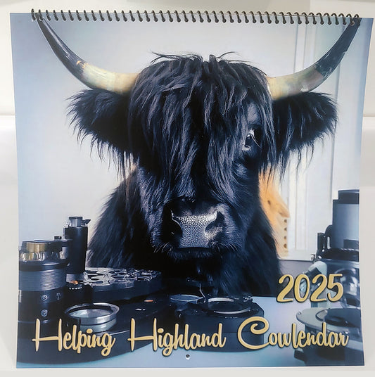 Daystar Filters 2025 Helping Highlands Spiral-Bound Monthly Wall Cowlendar