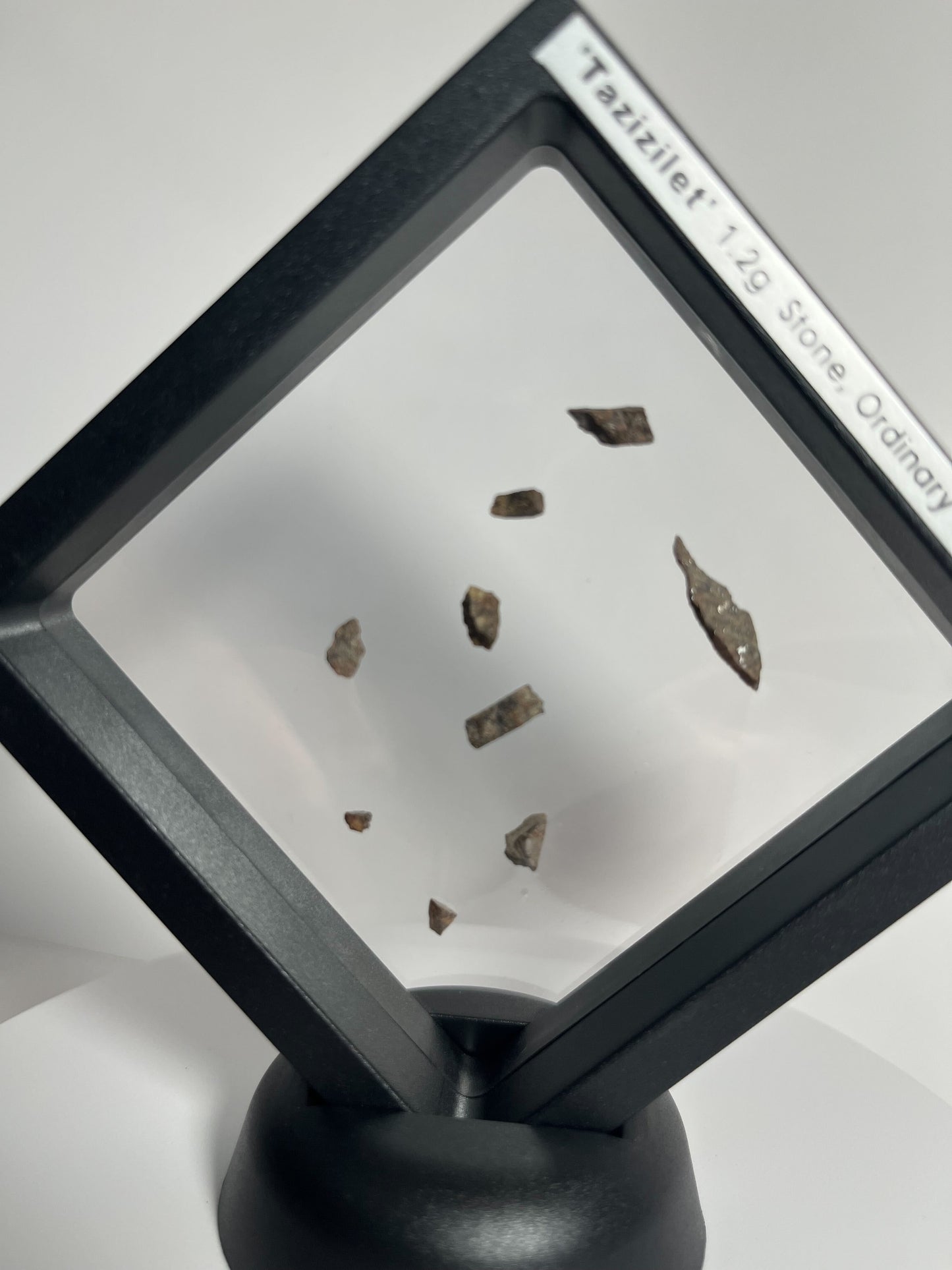 Certified TAZIZILET Specimen Meteorite Slice 1.2g - Recovered 2006, Niger - RARE