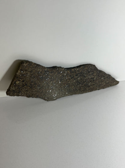 Certified TAZIZILET Specimen Meteorite Slice 34.8g - Recovered 2006, Niger - RARE