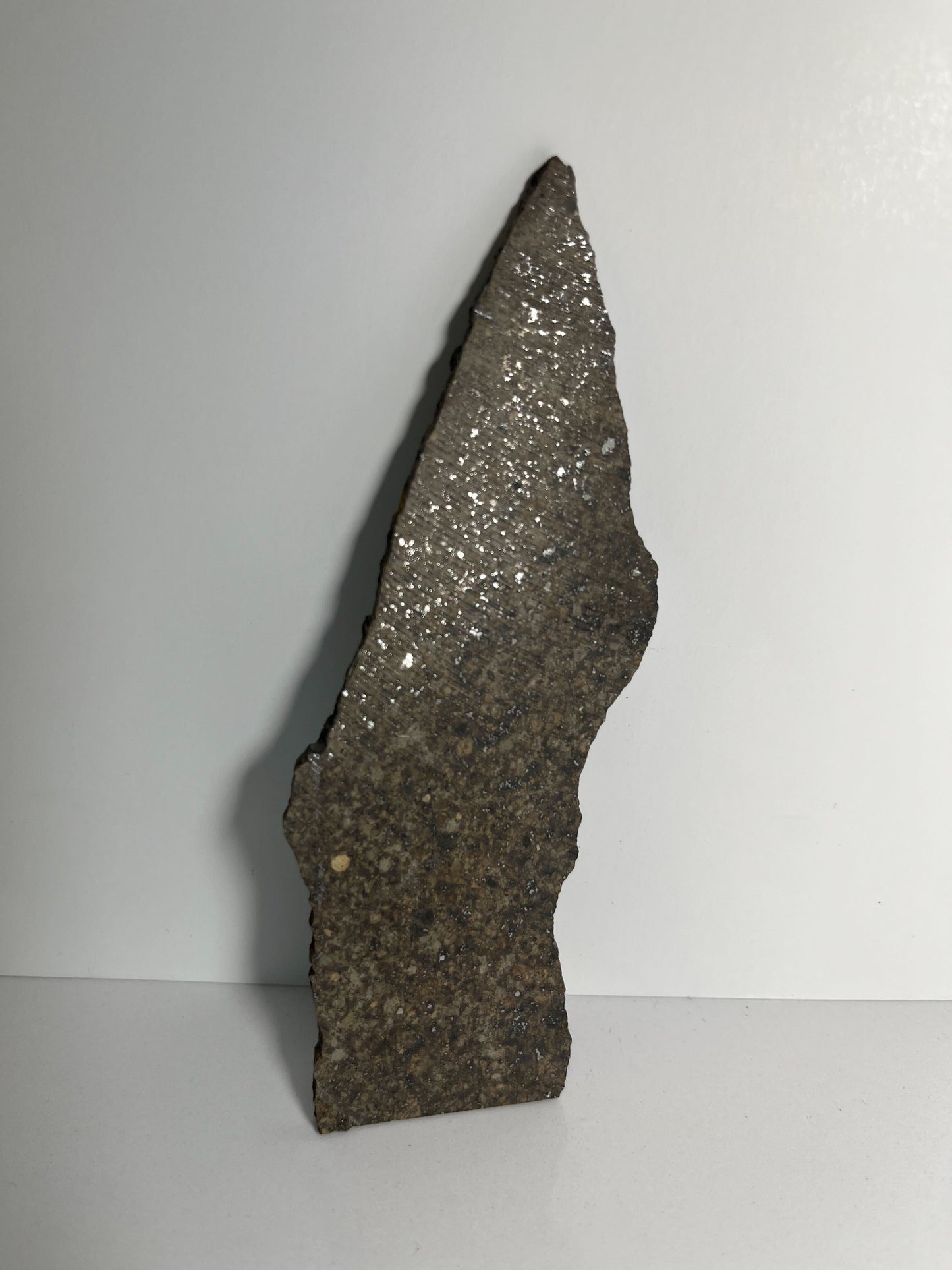 Certified TAZIZILET Specimen Meteorite Slice 34.8g - Recovered 2006, Niger - RARE