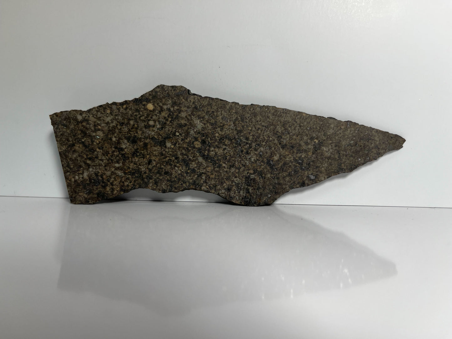 Certified TAZIZILET Specimen Meteorite Slice 34.8g - Recovered 2006, Niger - RARE