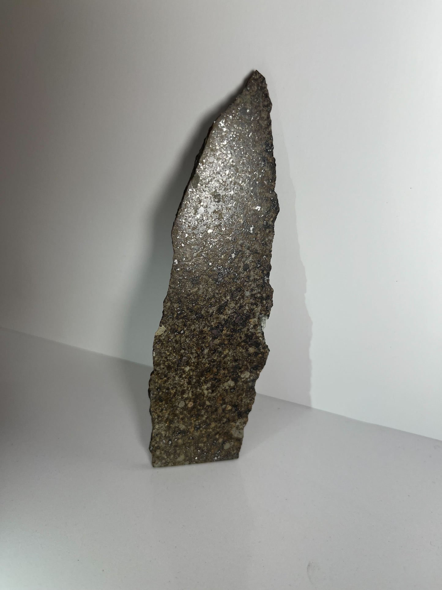 Certified TAZIZILET Specimen Meteorite Slice 39.1g - Recovered 2006, Niger - RARE