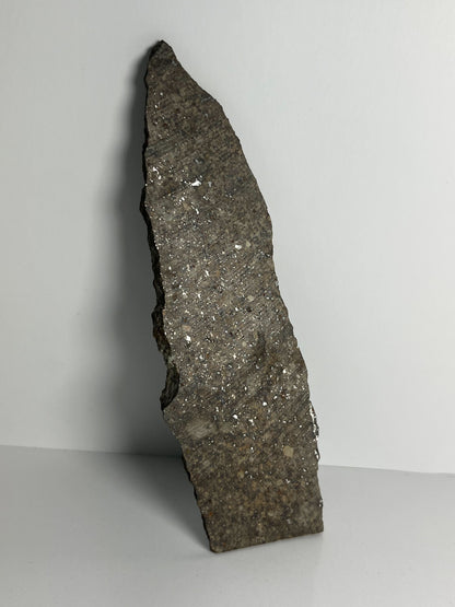Certified TAZIZILET Specimen Meteorite Slice 39.1g - Recovered 2006, Niger - RARE