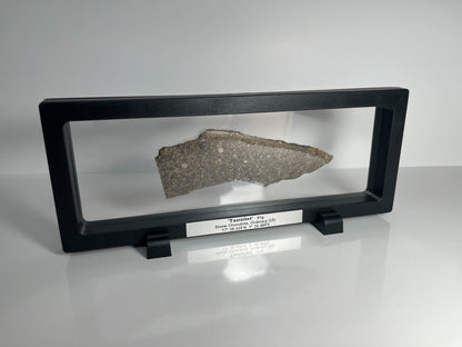 Certified TAZIZILET Specimen Meteorite Slice 41.0g - Recovered 2006, Niger - RARE