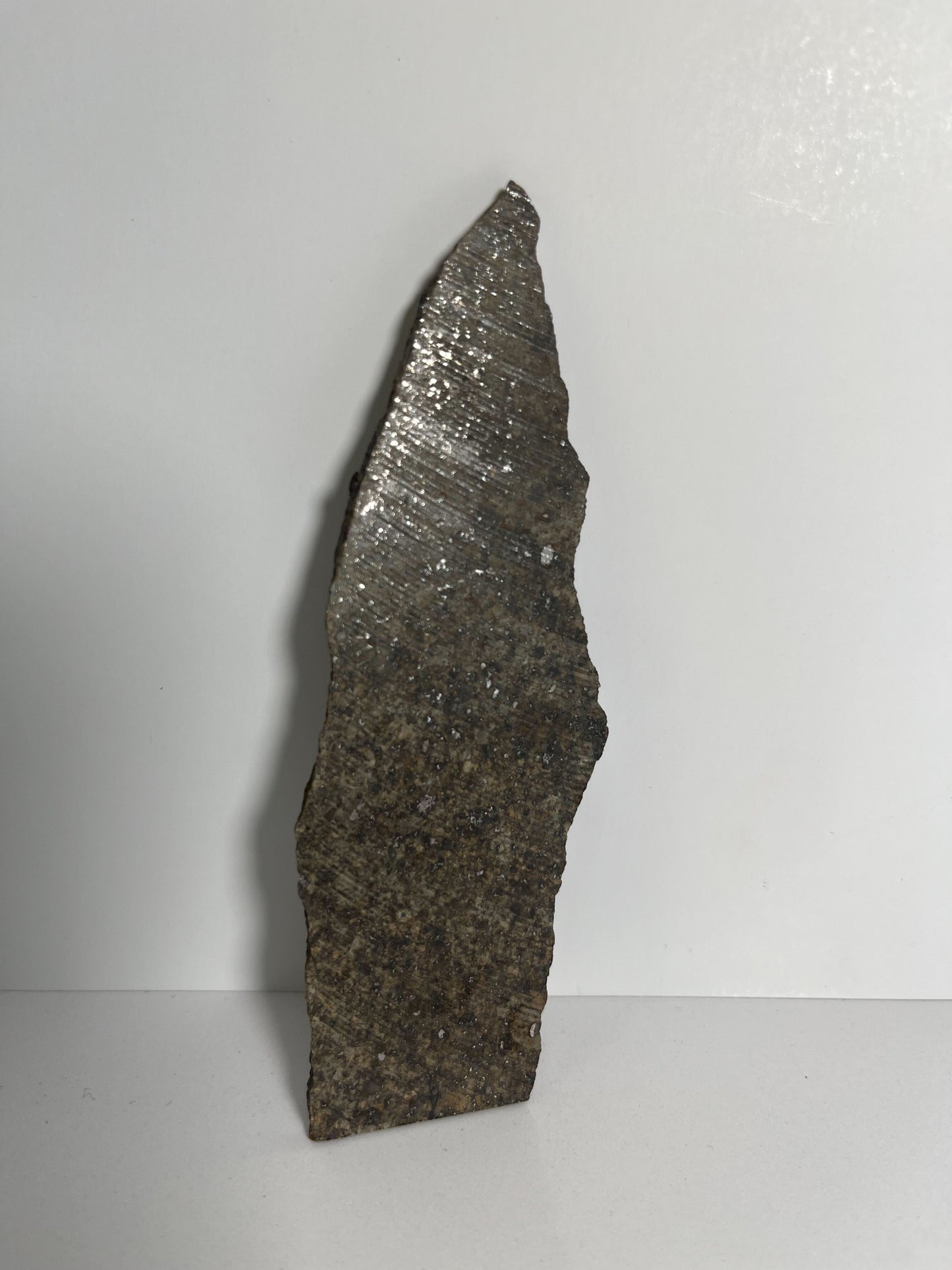 Certified TAZIZILET Specimen Meteorite Slice 47.3g - Recovered 2006, Niger - RARE