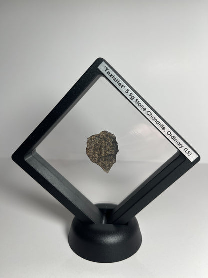 Certified TAZIZILET Specimen Meteorite Slice 5.9g - Recovered 2006, Niger - RARE