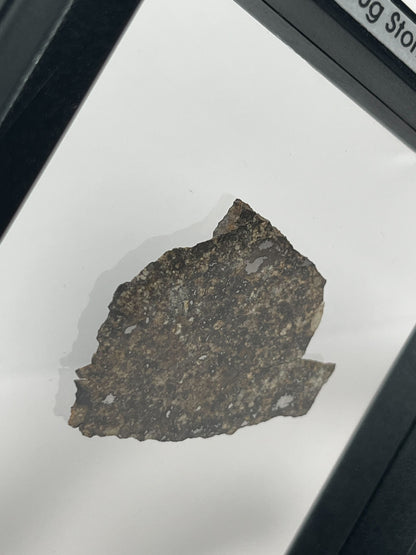 Certified TAZIZILET Specimen Meteorite Slice 6.0g - Recovered 2006, Niger - RARE