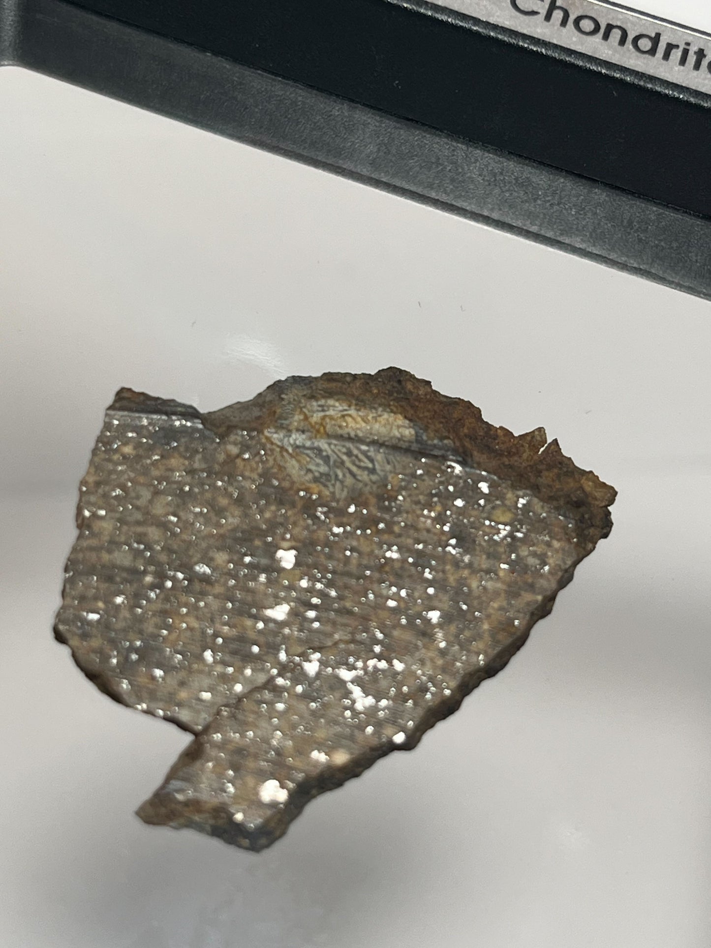 Certified TAZIZILET Specimen Meteorite Slice 6.0g - Recovered 2006, Niger - RARE