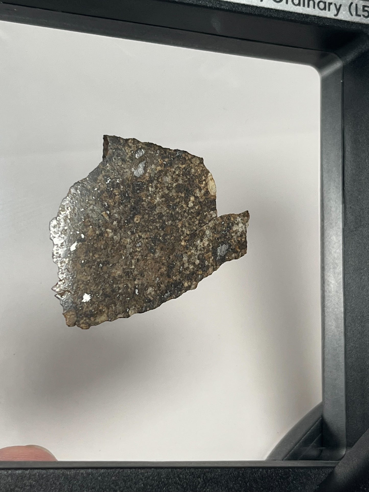 Certified TAZIZILET Specimen Meteorite Slice 6.0g - Recovered 2006, Niger - RARE