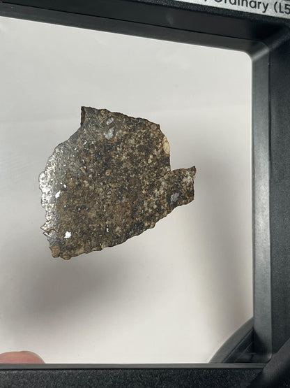 Certified TAZIZILET Specimen Meteorite Slice 6.0g - Recovered 2006, Niger - RARE