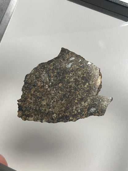 Certified TAZIZILET Specimen Meteorite Slice 6.0g - Recovered 2006, Niger - RARE