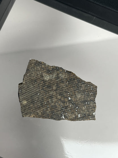 Certified TAZIZILET Specimen Meteorite Slice 6.3g - Recovered 2006, Niger - RARE