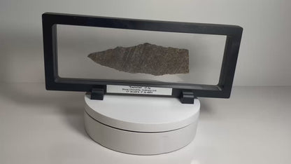 Certified TAZIZILET Specimen Meteorite Slice 47.3g - Recovered 2006, Niger - RARE