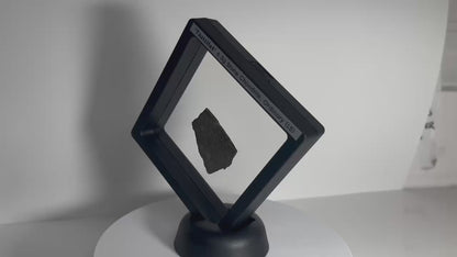 Certified TAZIZILET Specimen Meteorite Slice 6.3g - Recovered 2006, Niger - RARE