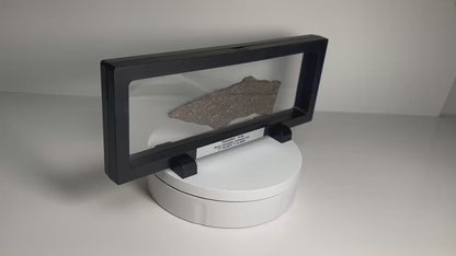 Certified TAZIZILET Specimen Meteorite Slice 34.8g - Recovered 2006, Niger - RARE