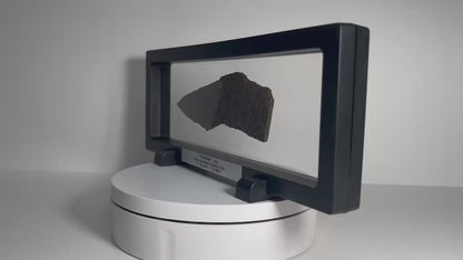 Certified TAZIZILET Specimen Meteorite Slice 41.0g - Recovered 2006, Niger - RARE