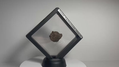 Certified TAZIZILET Specimen Meteorite Slice 12.3g - Recovered 2006, Niger - RARE