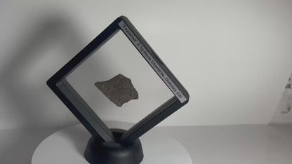 Certified TAZIZILET Specimen Meteorite Slice 5.1g - Recovered 2006, Niger - RARE